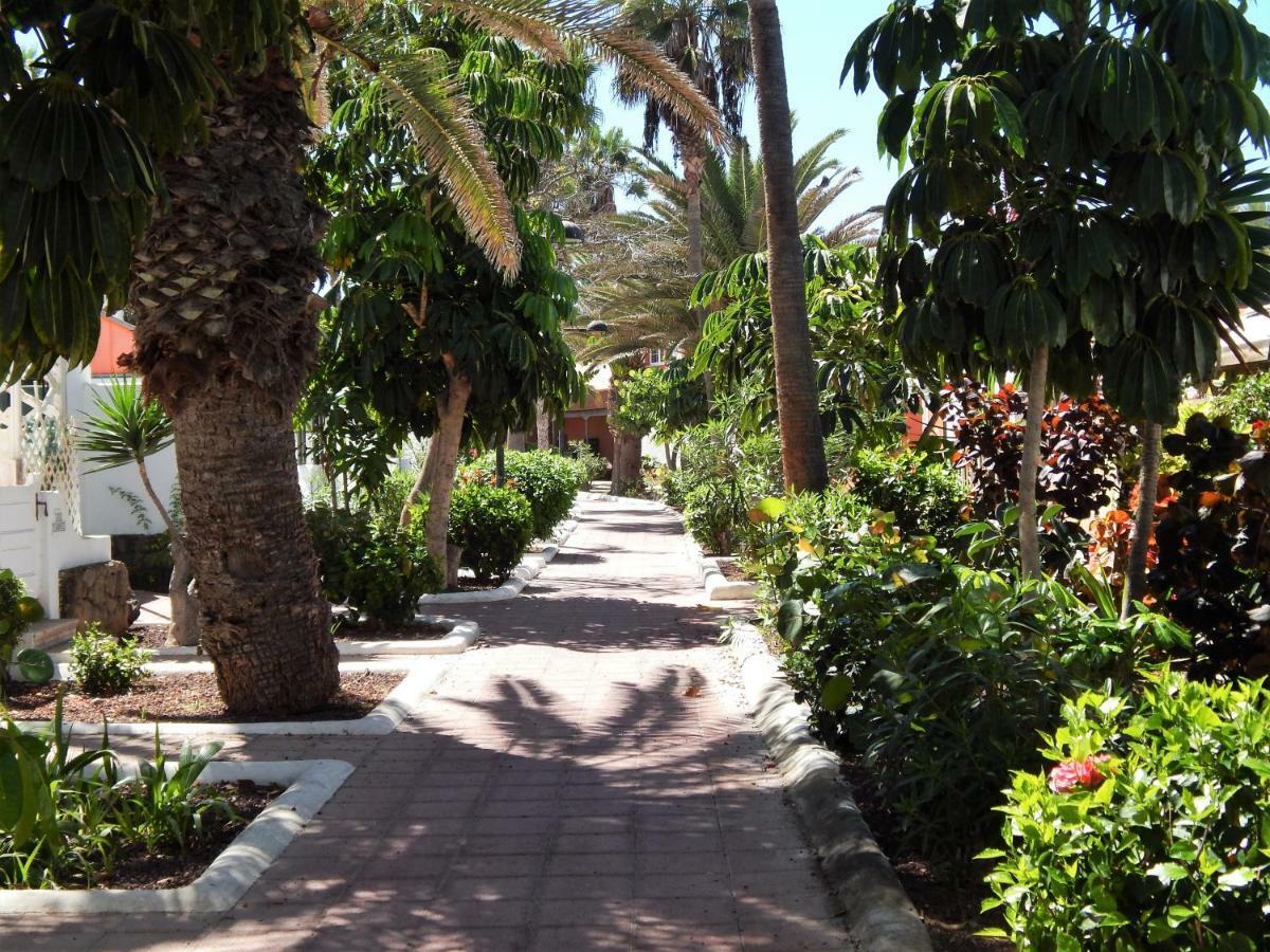 Beautiful Beachfront بلايا ذي لاس أميريكاس المظهر الخارجي الصورة